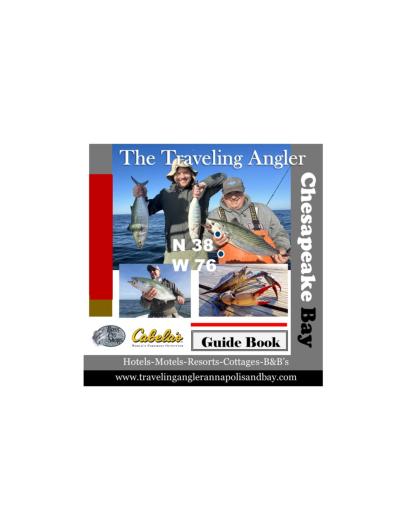 best digital magazine software
