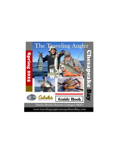 best digital magazine software