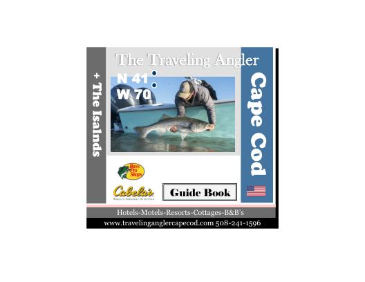 create digital magazine