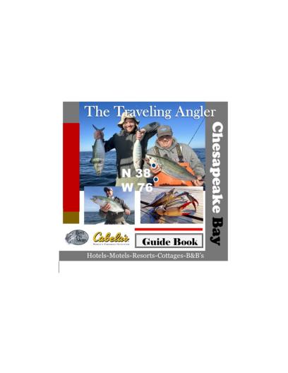 Digital Magazine